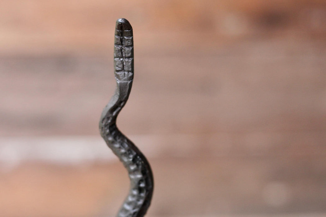 Rattlesnake Paper Towel Holder