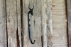 A blacksmith hand forged Antelope style animal head hook by Wicks Forge