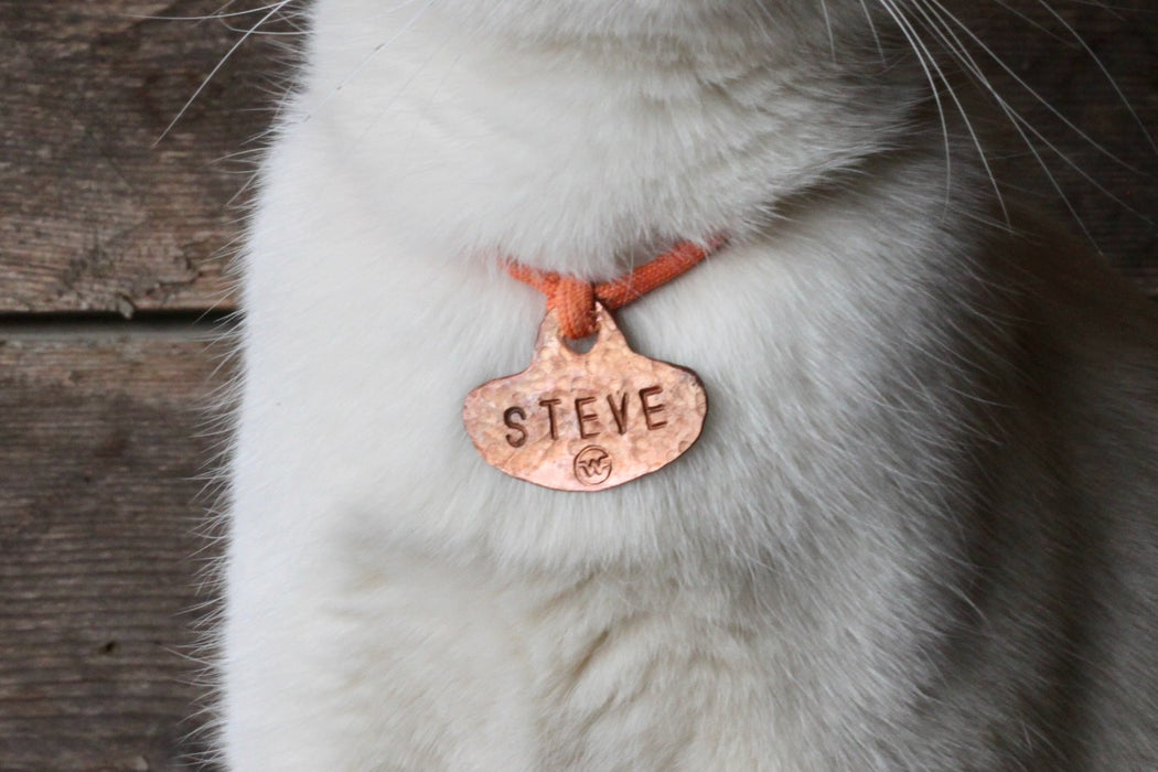 Pet ID Tag